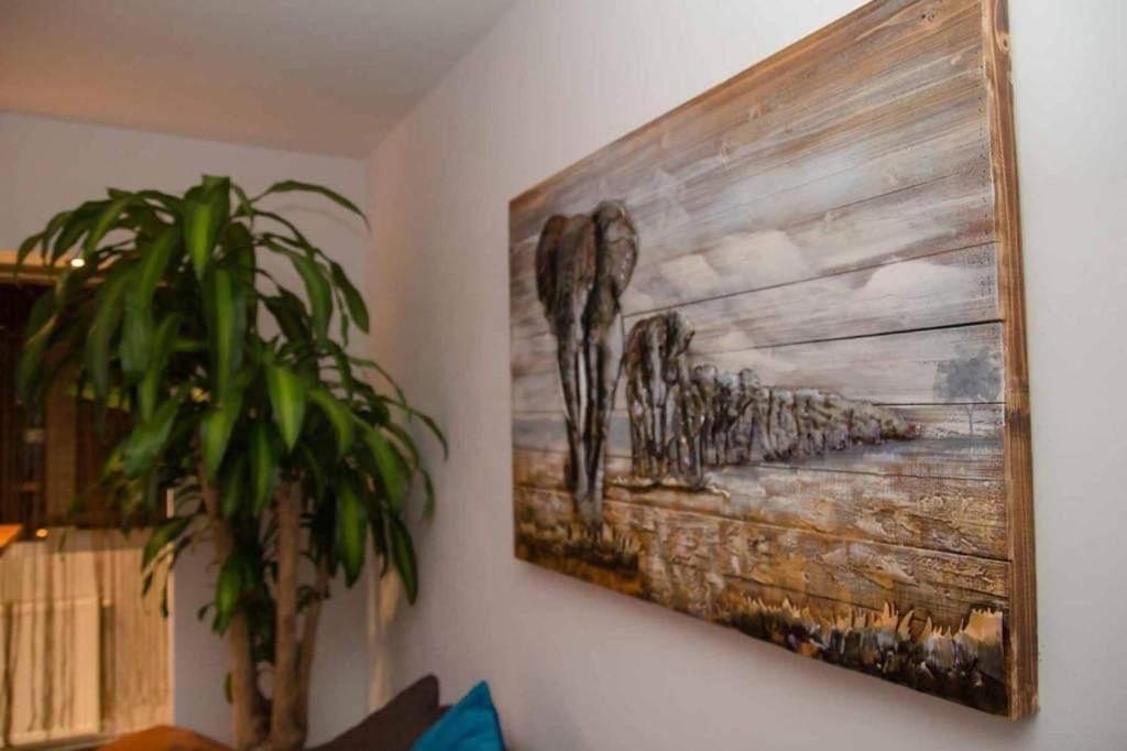 Colonial Touch Apartament Braşov Eksteriør billede